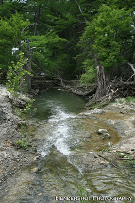 Brushy Hill Ranch has an abundance of water sources like this beautiful creek. These water resources allow the ranch to sustain a large, and healthy, herd of trophy whitetail deer, Rio Grande Turkey and wild hogs/boars! Brushy Hill offers the most affordable trophy whitetail bow hunting in Texas. Book your next bowhunt at Brushy Hill Ranch!